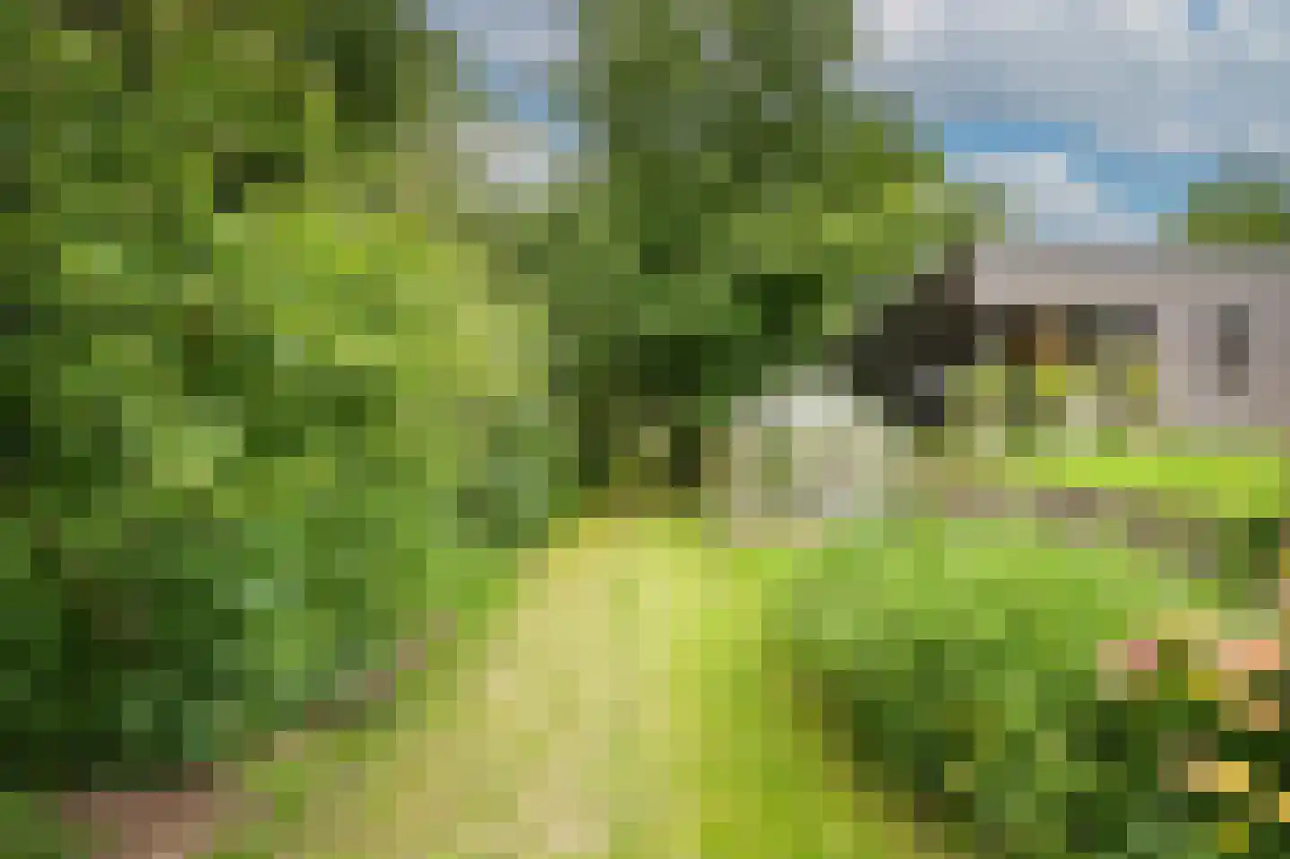 Trambaan 3 b Boven-Leeuwen thumbnail 42