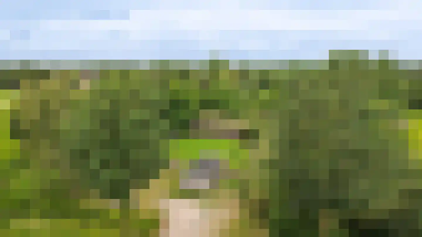 Trambaan 3 b Boven-Leeuwen thumbnail 48