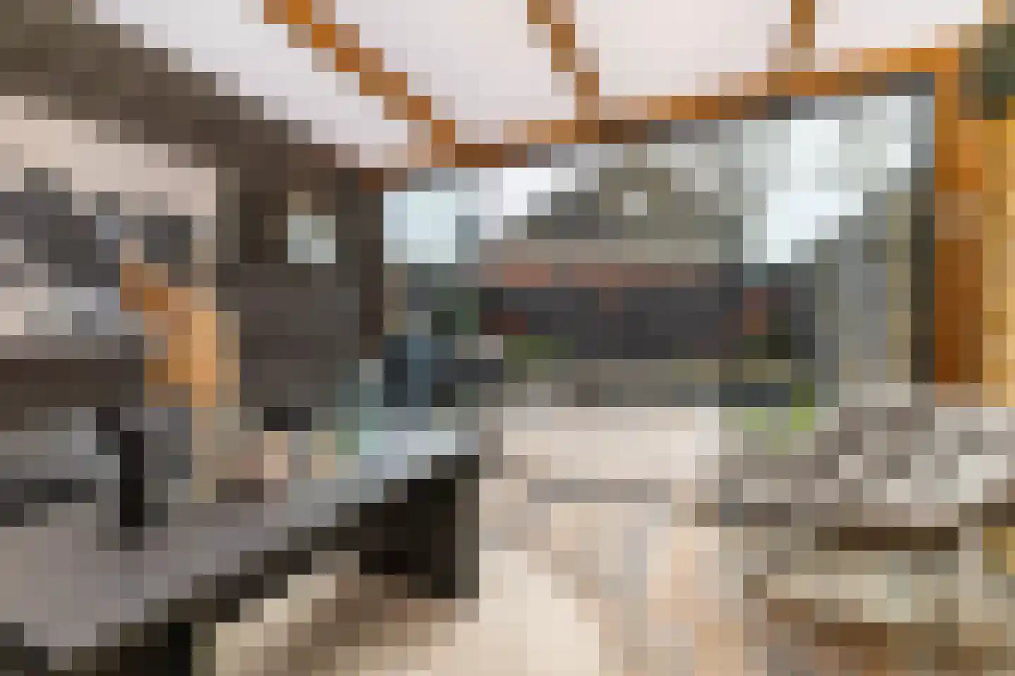Trambaan 3 Farmsum thumbnail 31