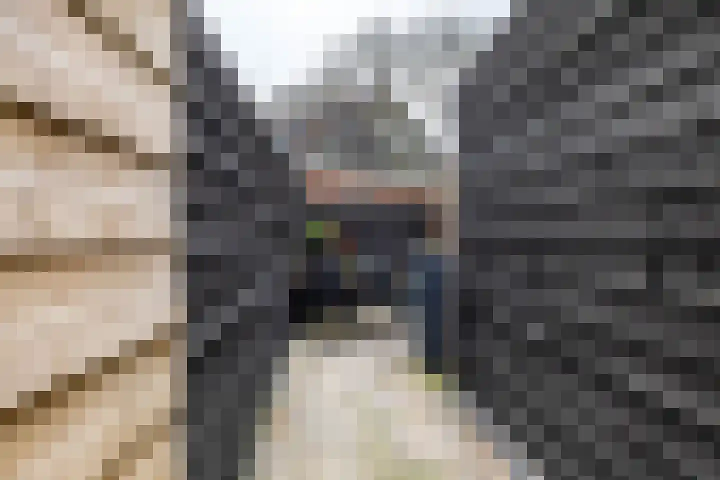 Trambaan 3 Farmsum thumbnail 33