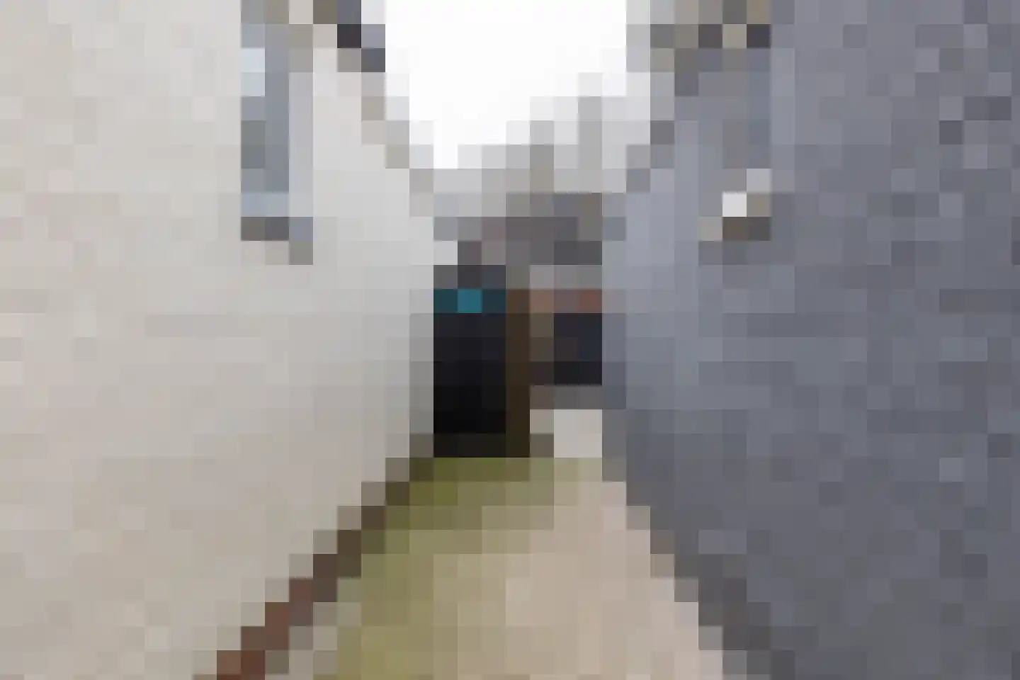 Trambaan 3 Farmsum thumbnail 36