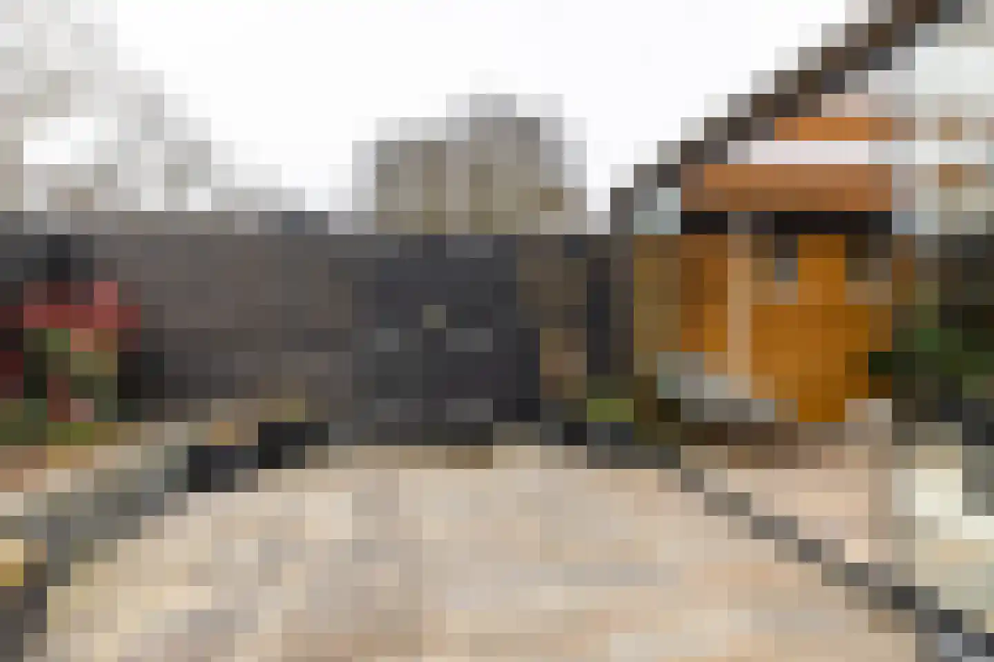 Trambaan 3 Farmsum thumbnail 4