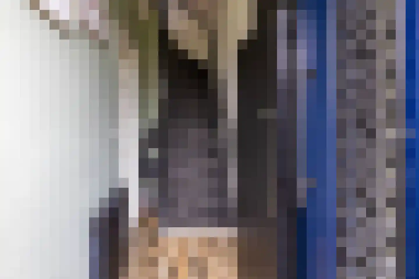 Trambaan 3 Farmsum thumbnail 7