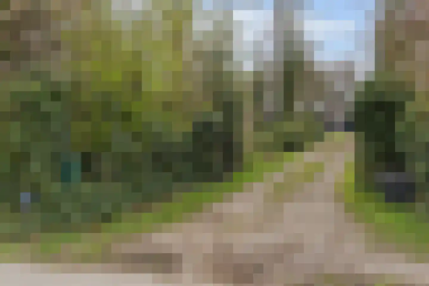 Trambaan 3 Nieuweroord