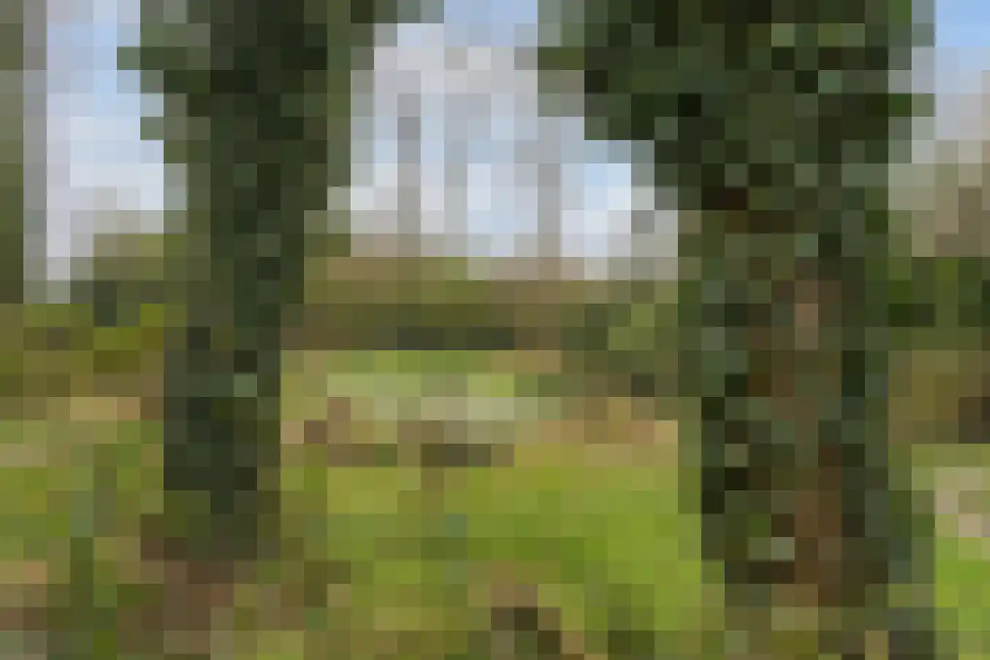 Trambaan 3 Nieuweroord thumbnail 12