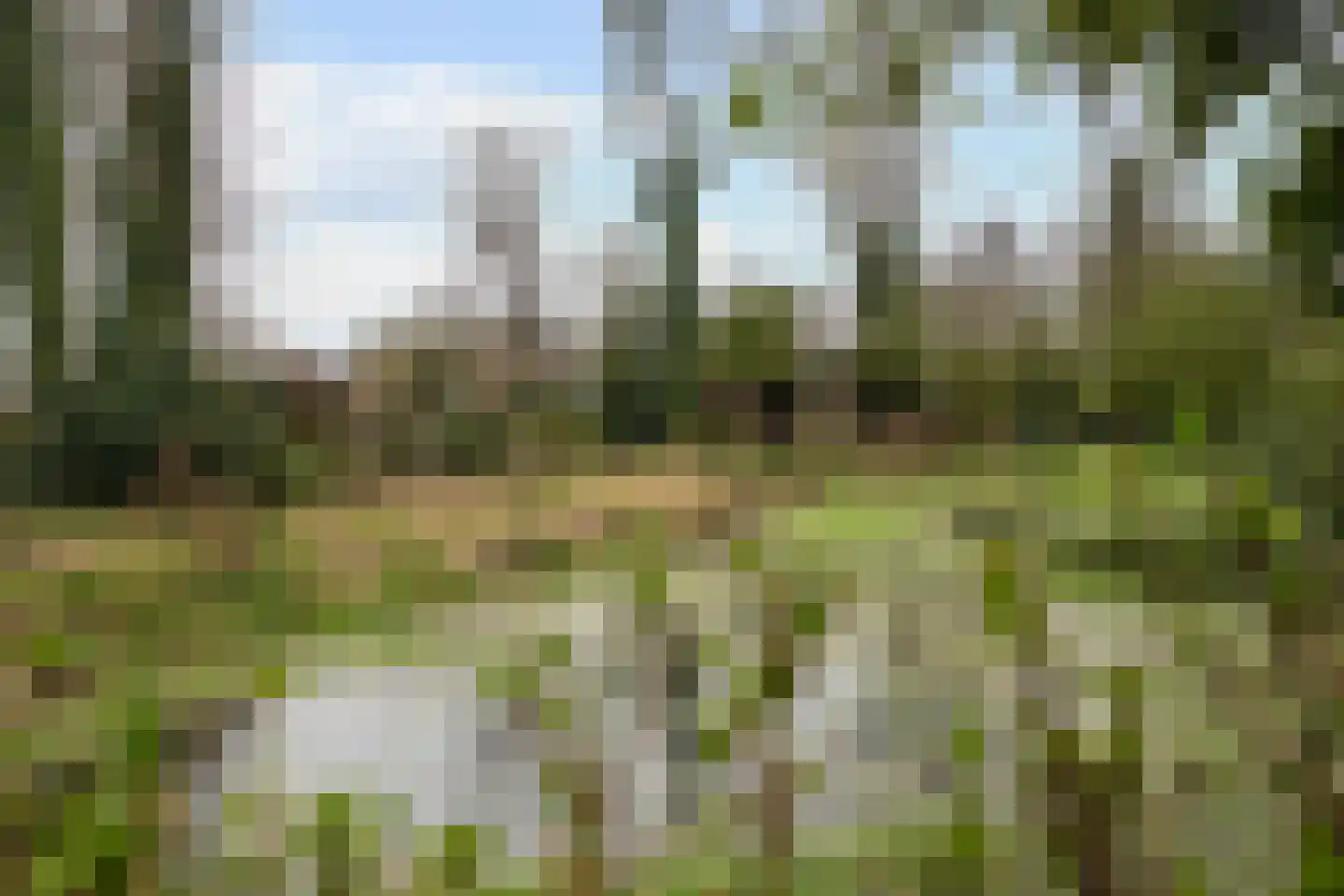 Trambaan 3 Nieuweroord thumbnail 13
