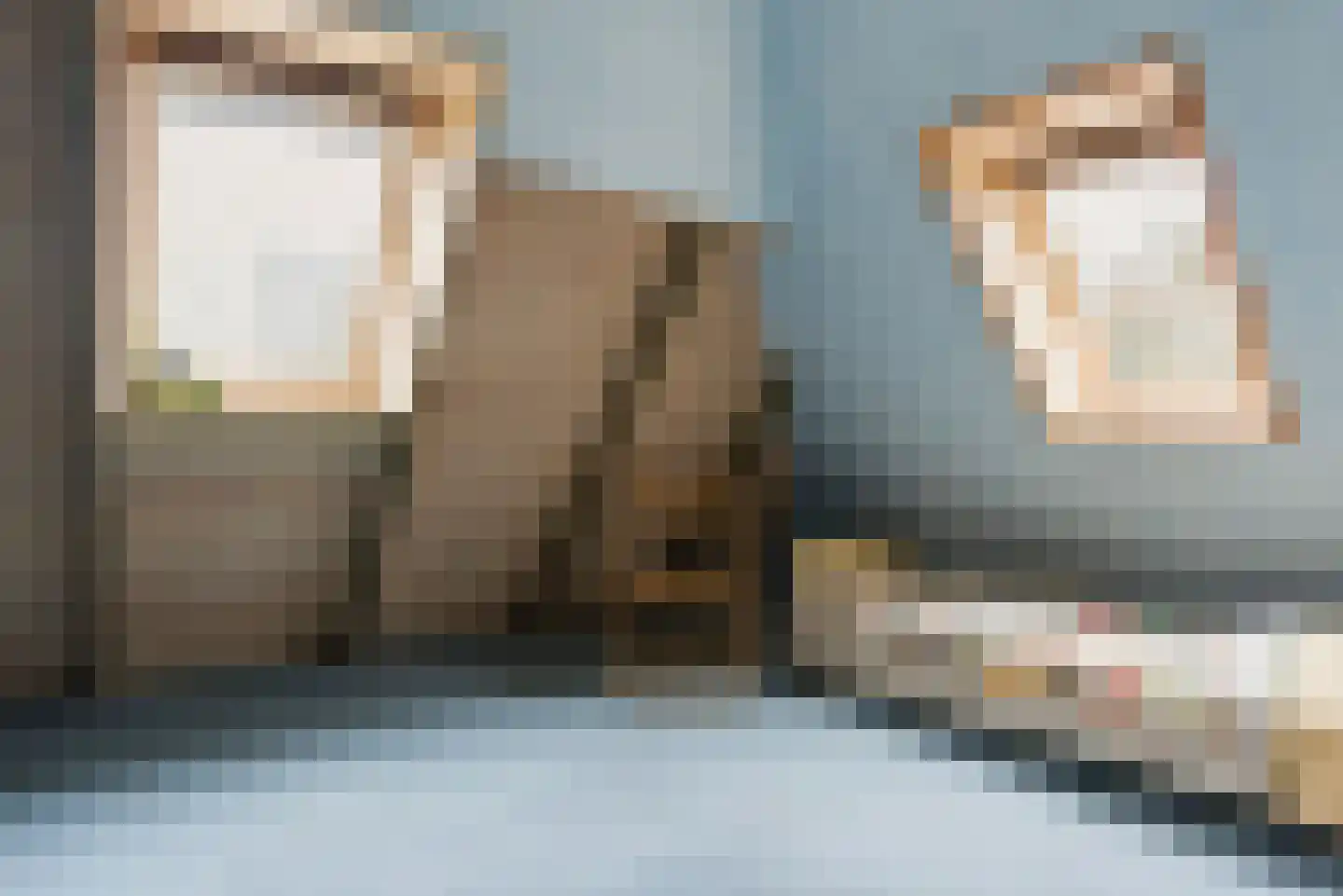 Trambaan 3 Nieuweroord thumbnail 29