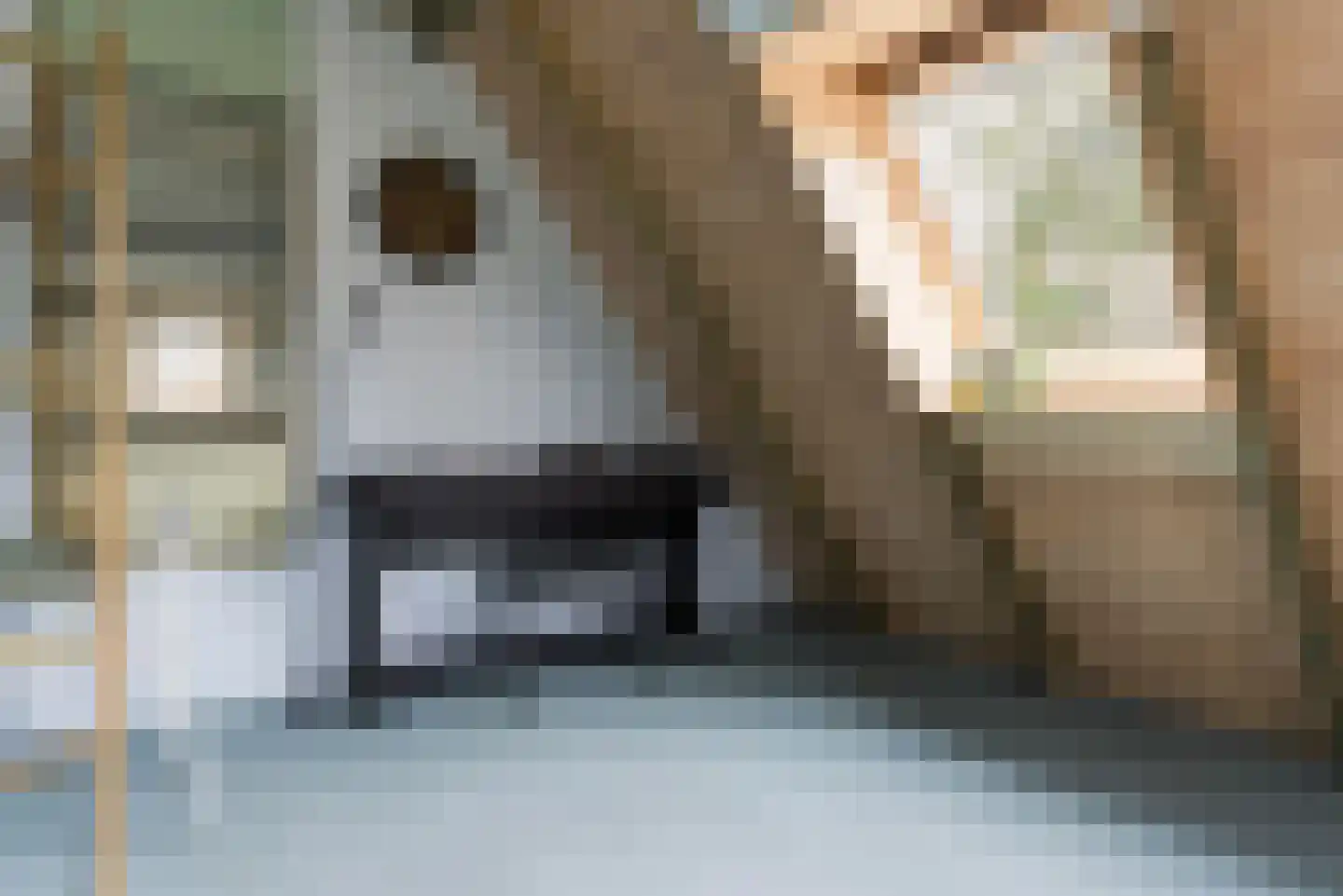 Trambaan 3 Nieuweroord thumbnail 30