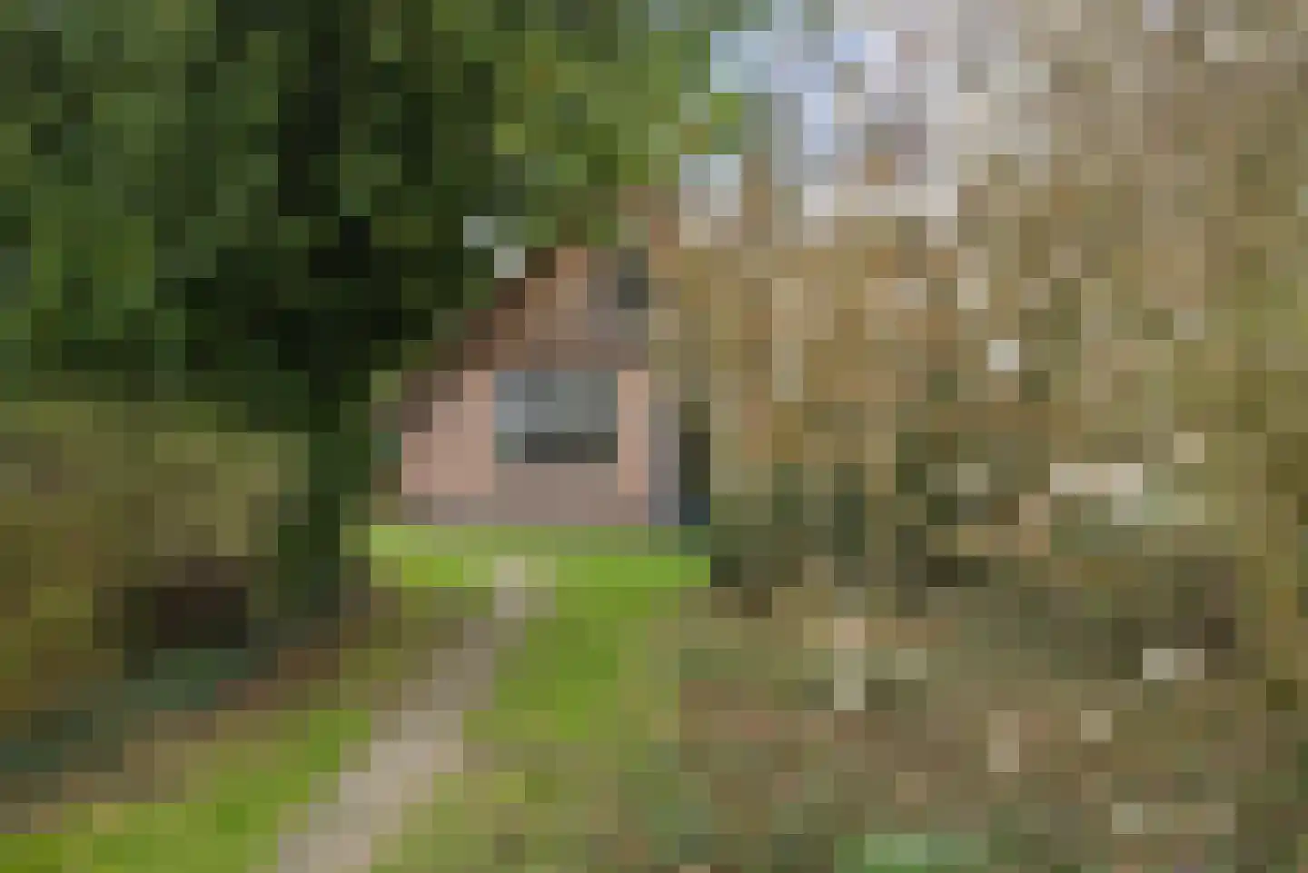 Trambaan 3 Nieuweroord thumbnail 37