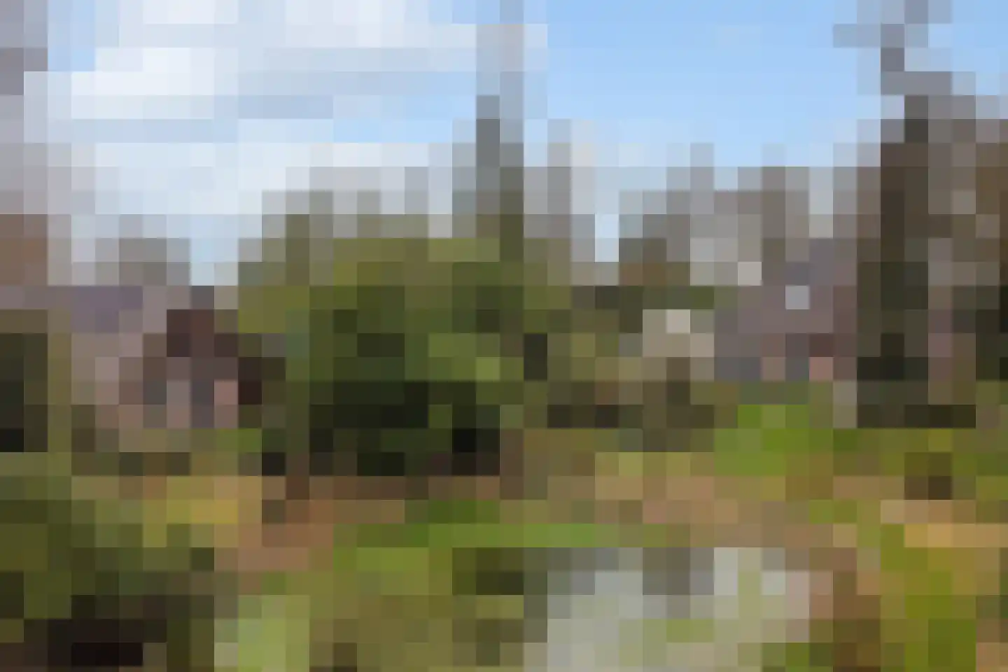 Trambaan 3 Nieuweroord thumbnail 4