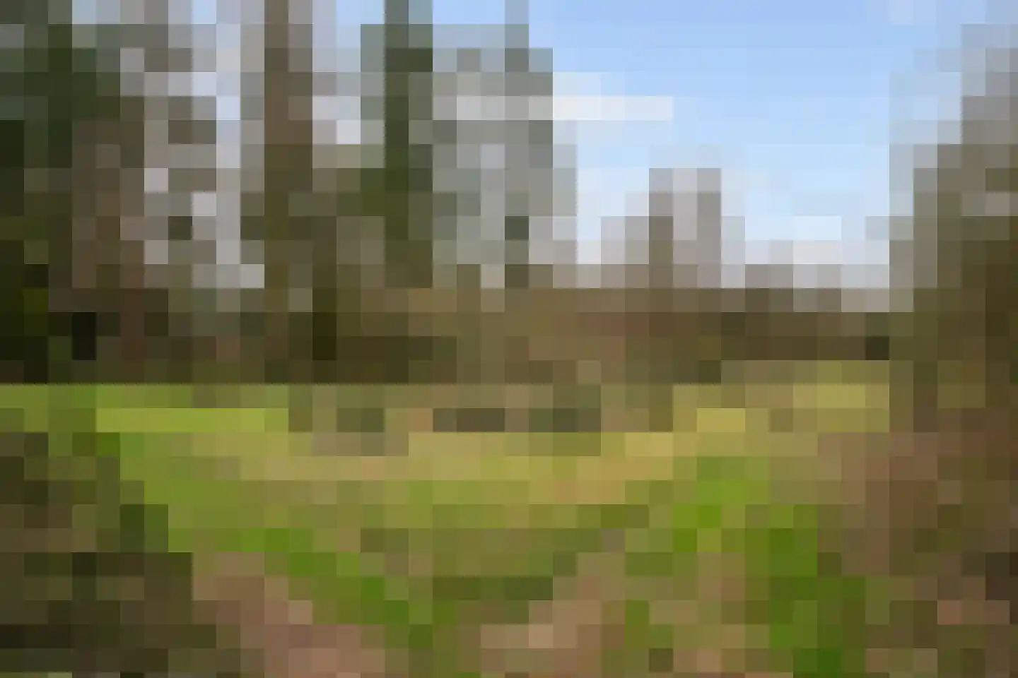 Trambaan 3 Nieuweroord thumbnail 48