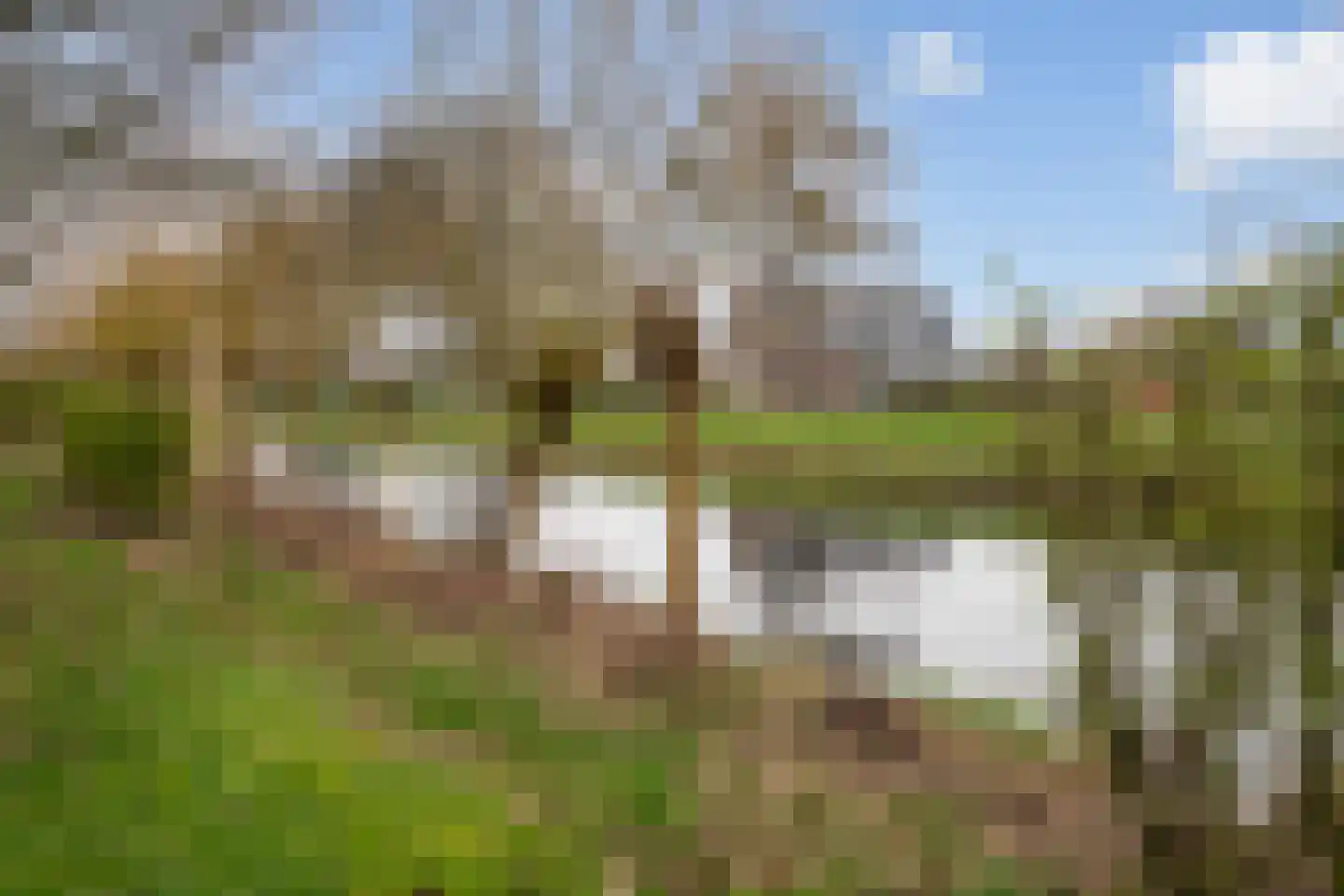 Trambaan 3 Nieuweroord thumbnail 53