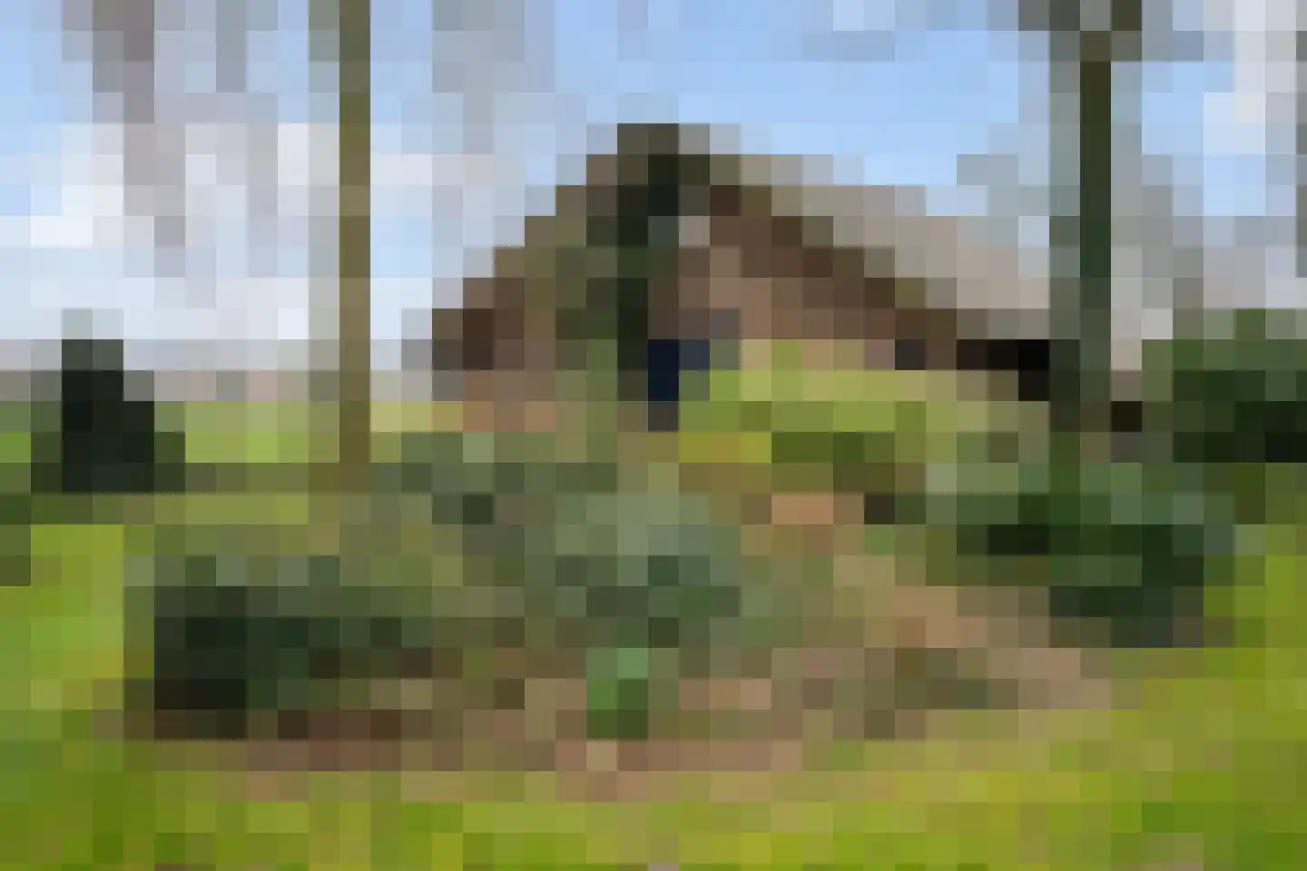 Trambaan 3 Nieuweroord thumbnail 54