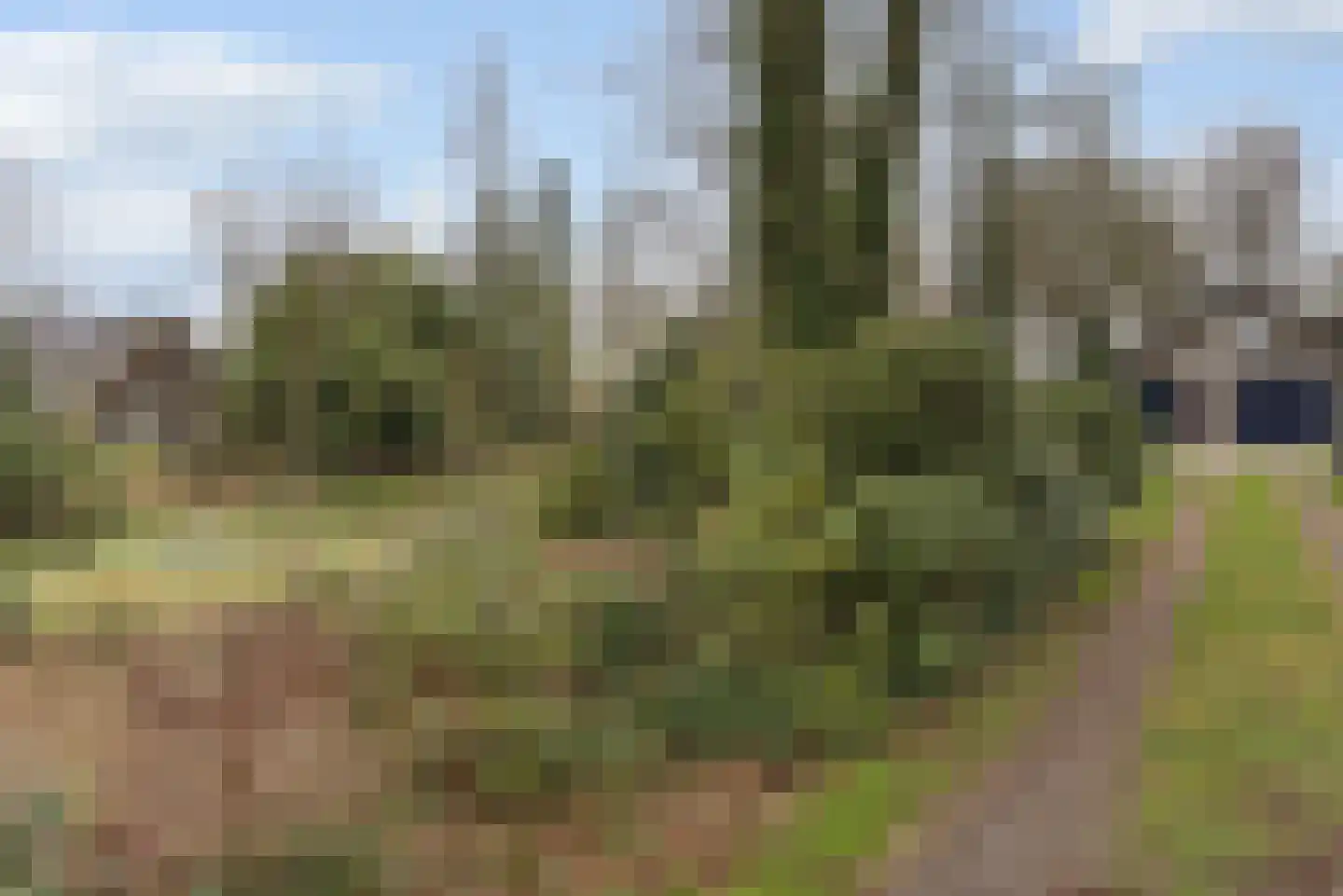Trambaan 3 Nieuweroord thumbnail 6