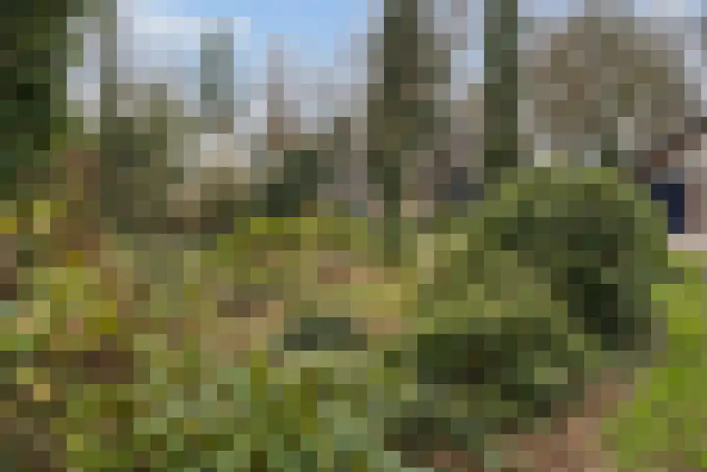 Trambaan 3 Nieuweroord thumbnail 9