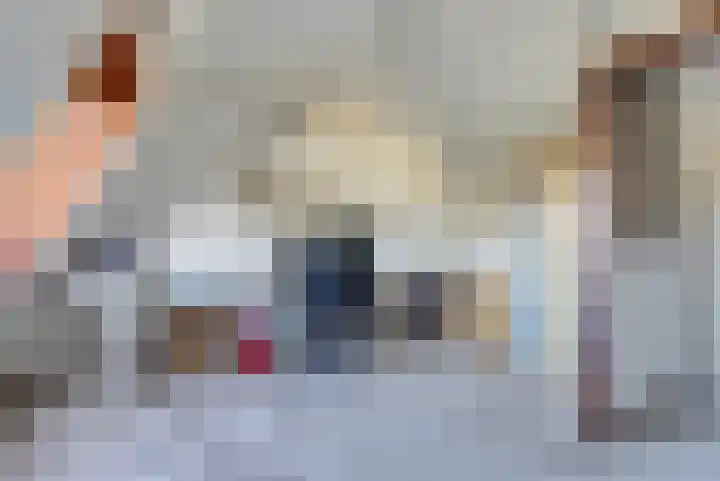 Trambaan 3 Strijen thumbnail 26