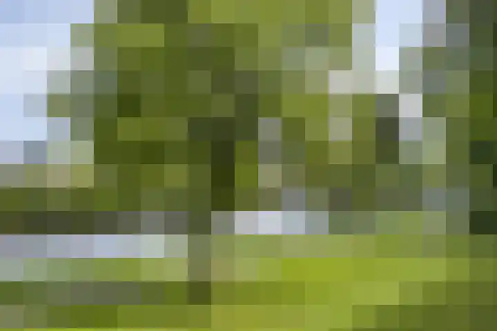 Trambaan 3 Strijen thumbnail 30