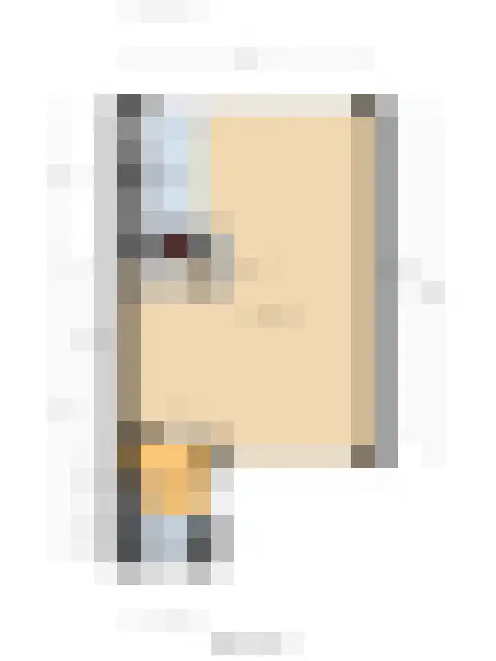 Trambaan 3 Strijen thumbnail 34