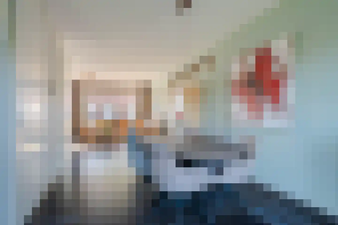 Trambaan 31 Tienray thumbnail 11