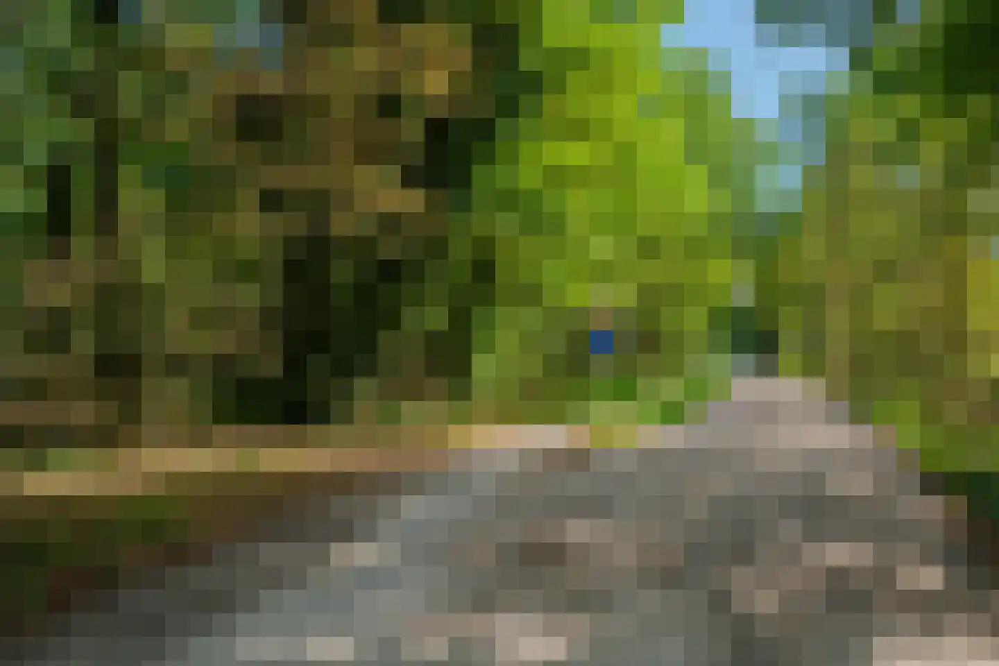 Trambaan 31 Tienray thumbnail 36