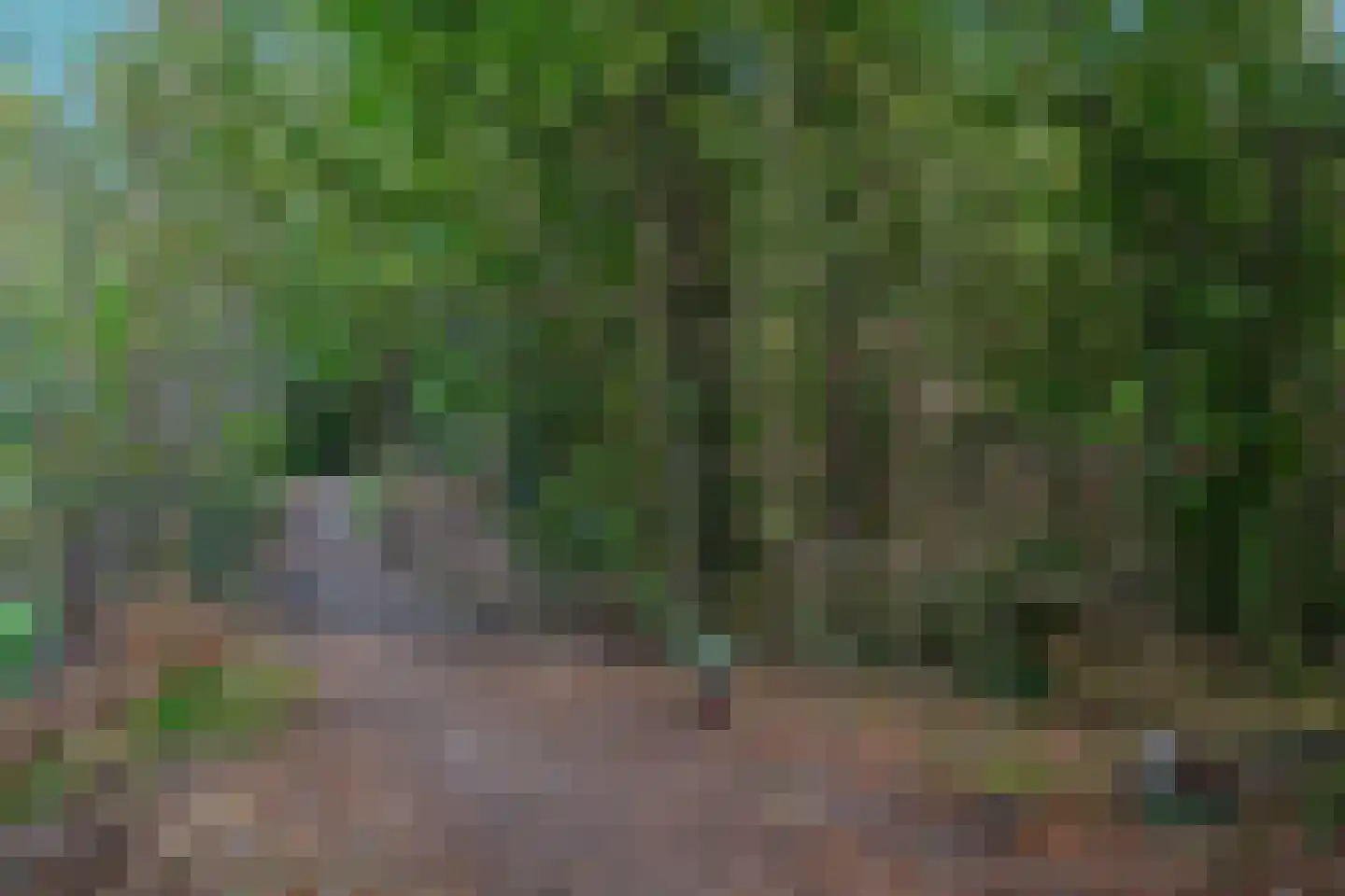 Trambaan 31 Tienray thumbnail 37