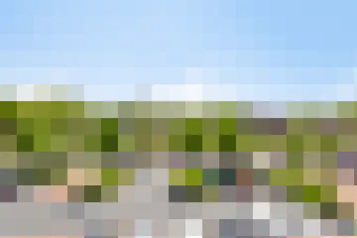 Trambaan 35 Oosterwolde thumbnail 6
