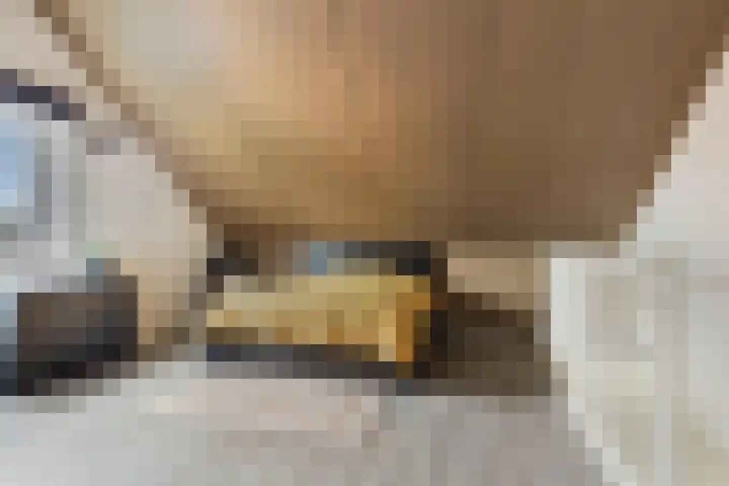 Trambaan 36 Tienray thumbnail 13