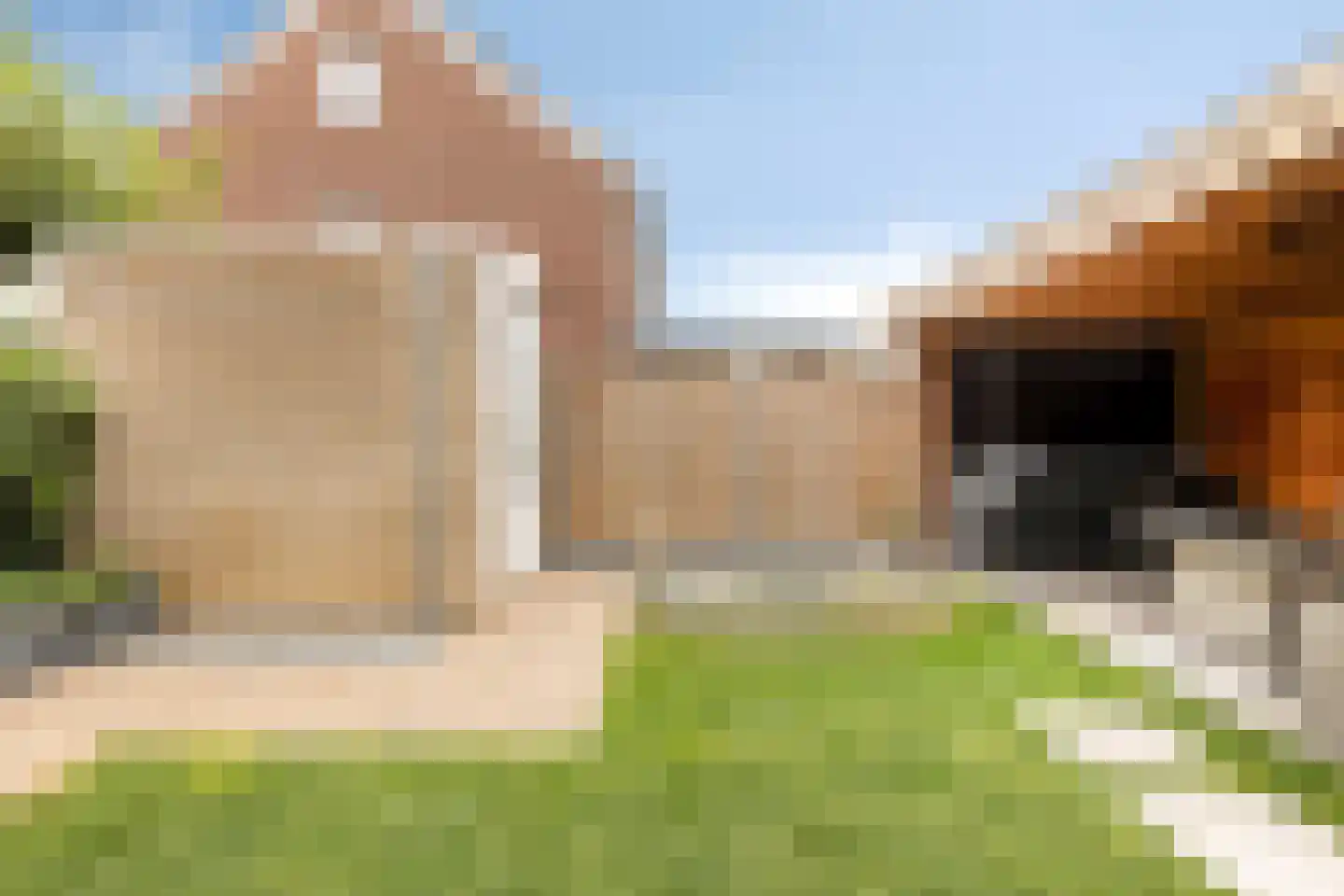 Trambaan 36 Tienray thumbnail 18