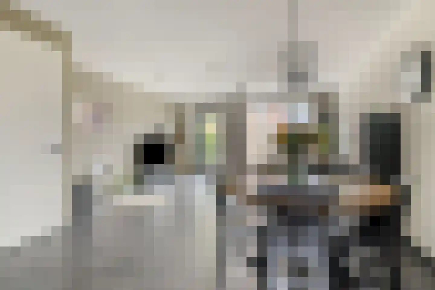 Trambaan 36 Tienray thumbnail 7