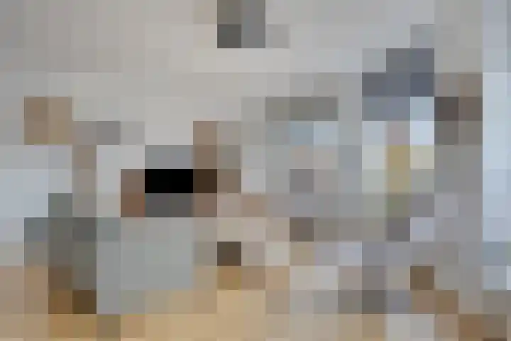 Trambaan 5 Oosterwolde thumbnail 7