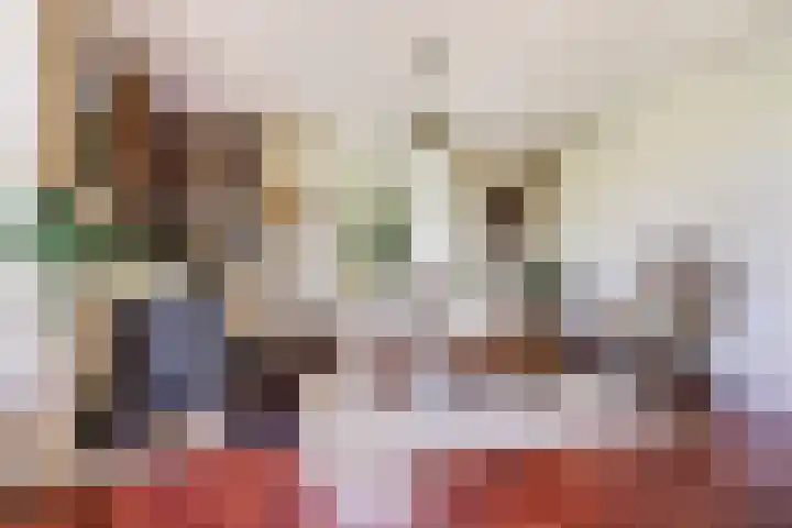 Trambaan 5 Zonnemaire thumbnail 12