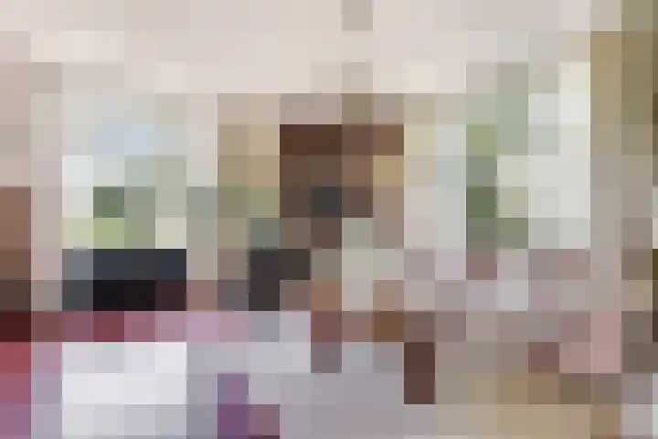 Trambaan 5 Zonnemaire thumbnail 13