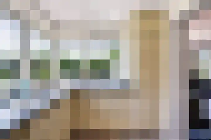 Trambaan 5 Zonnemaire thumbnail 14