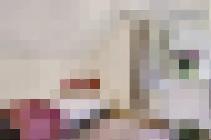 Trambaan 5 Zonnemaire thumbnail 21