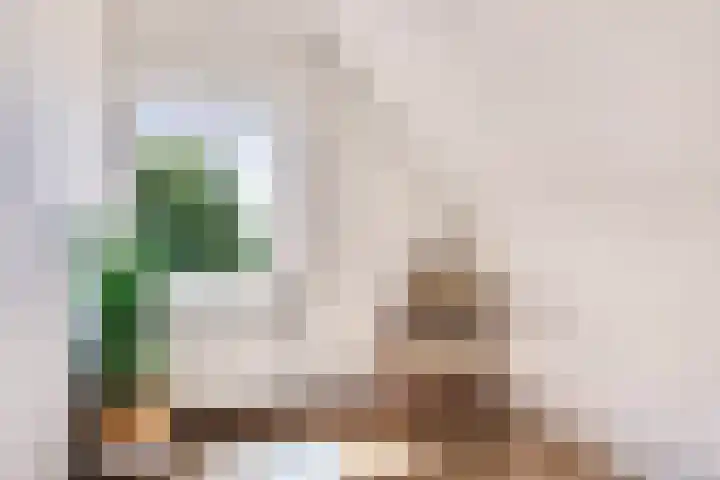 Trambaan 5 Zonnemaire thumbnail 22