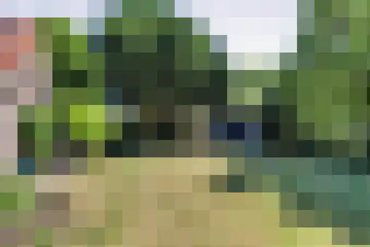Trambaan 5 Zonnemaire thumbnail 23