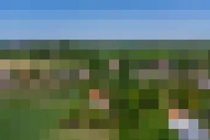 Trambaan 5 Zonnemaire thumbnail 24