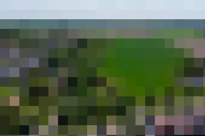 Trambaan 5 Zonnemaire thumbnail 25