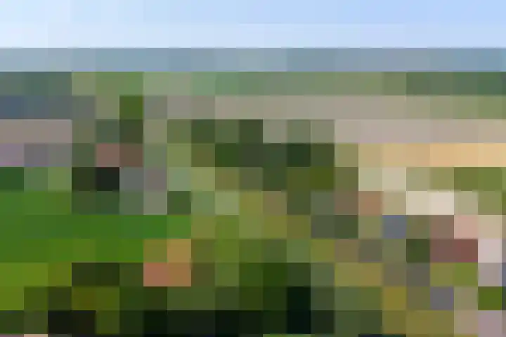 Trambaan 5 Zonnemaire thumbnail 26