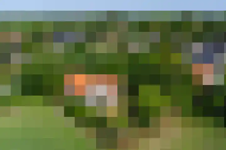 Trambaan 5 Zonnemaire thumbnail 28