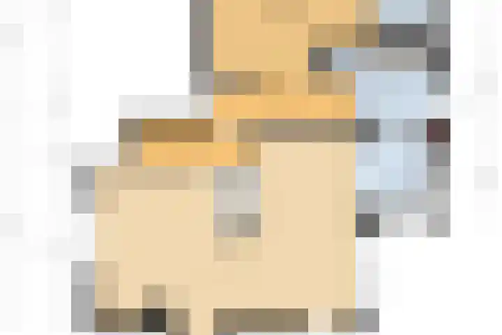 Trambaan 5 Zonnemaire thumbnail 30