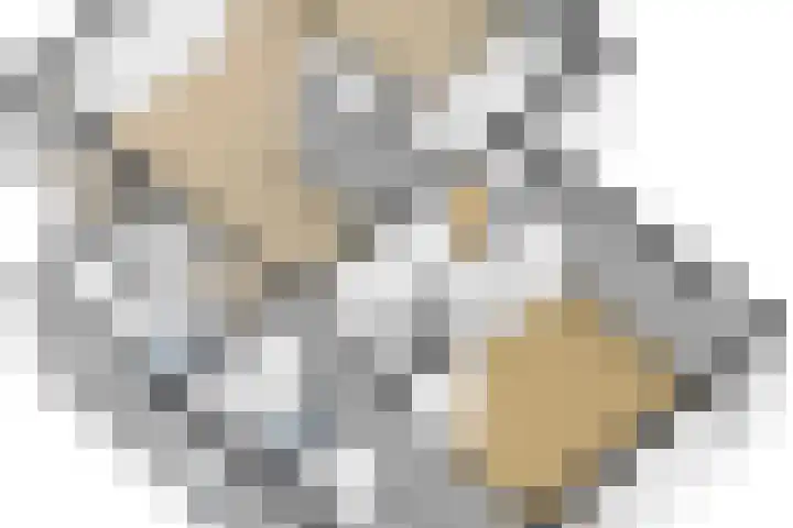 Trambaan 5 Zonnemaire thumbnail 31