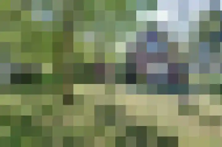 Trambaan 5 Zonnemaire thumbnail 38