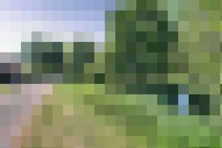 Trambaan 5 Zonnemaire thumbnail 4