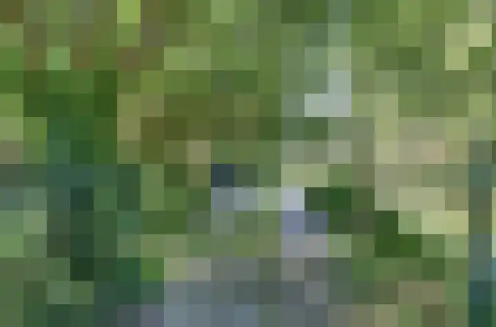 Trambaan 5 Zonnemaire thumbnail 5