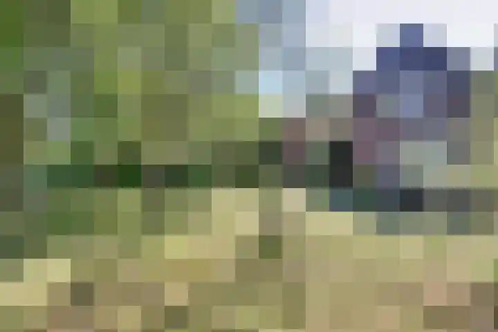 Trambaan 5 Zonnemaire thumbnail 6