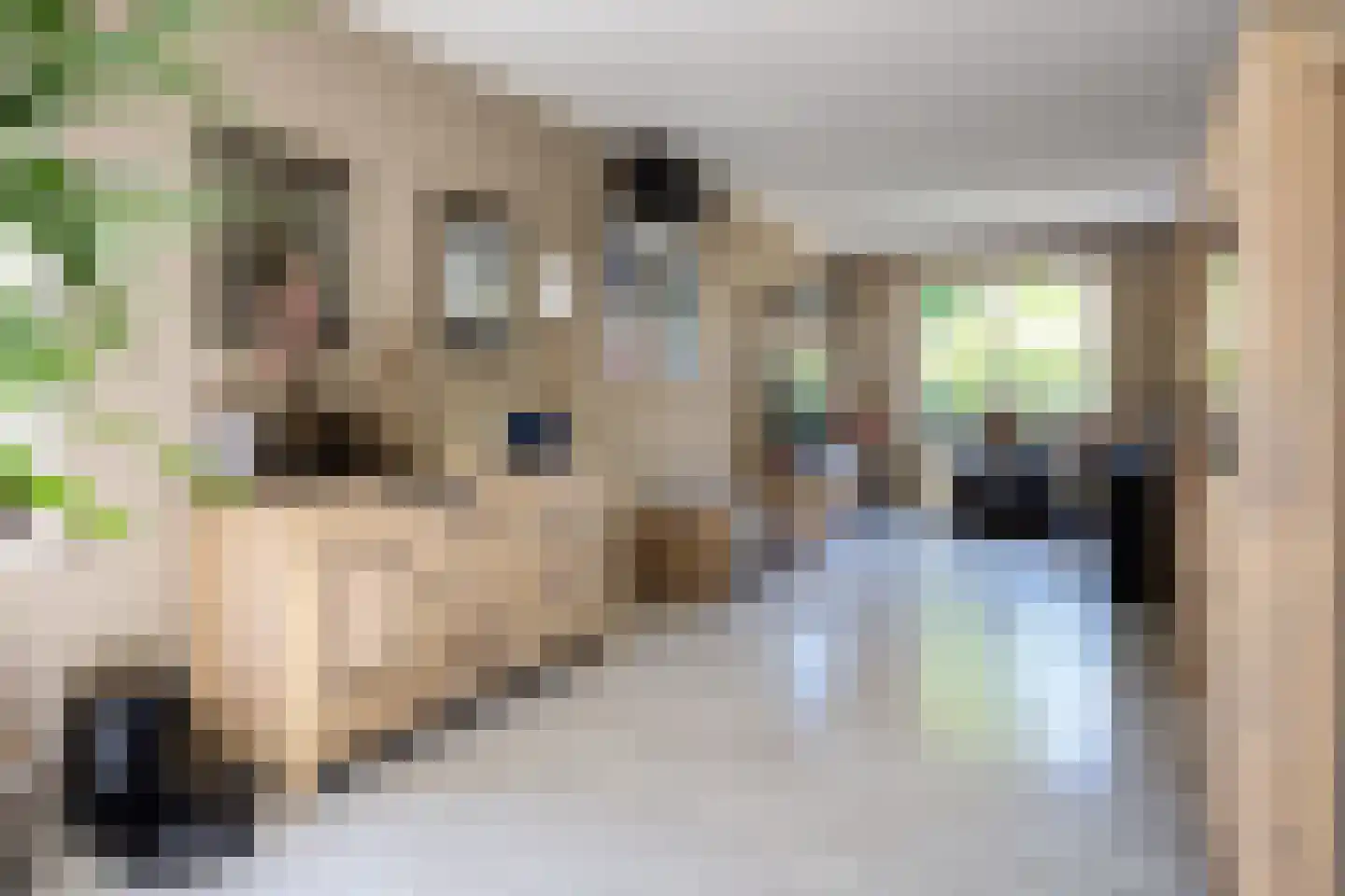 Trambaan 6 Ossendrecht thumbnail 11