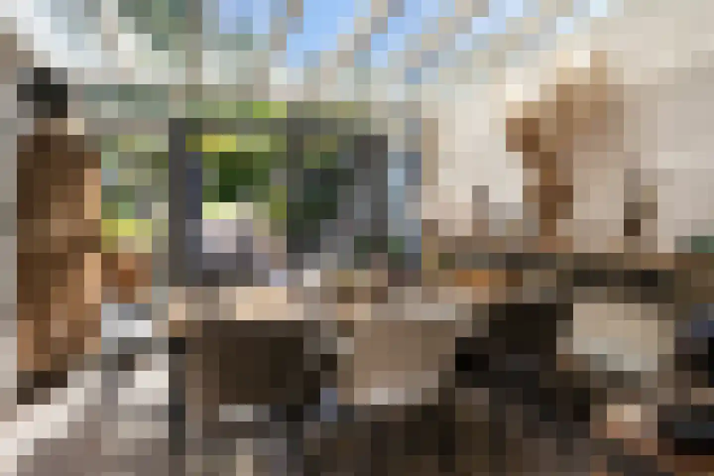 Trambaan 6 Ossendrecht thumbnail 12