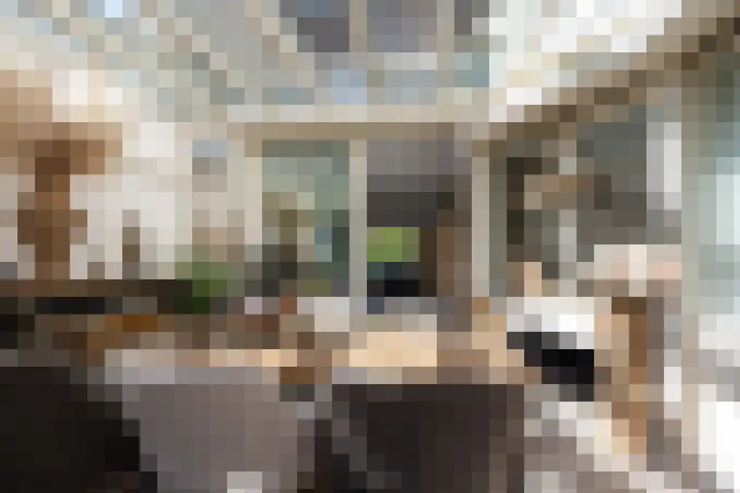 Trambaan 6 Ossendrecht thumbnail 13