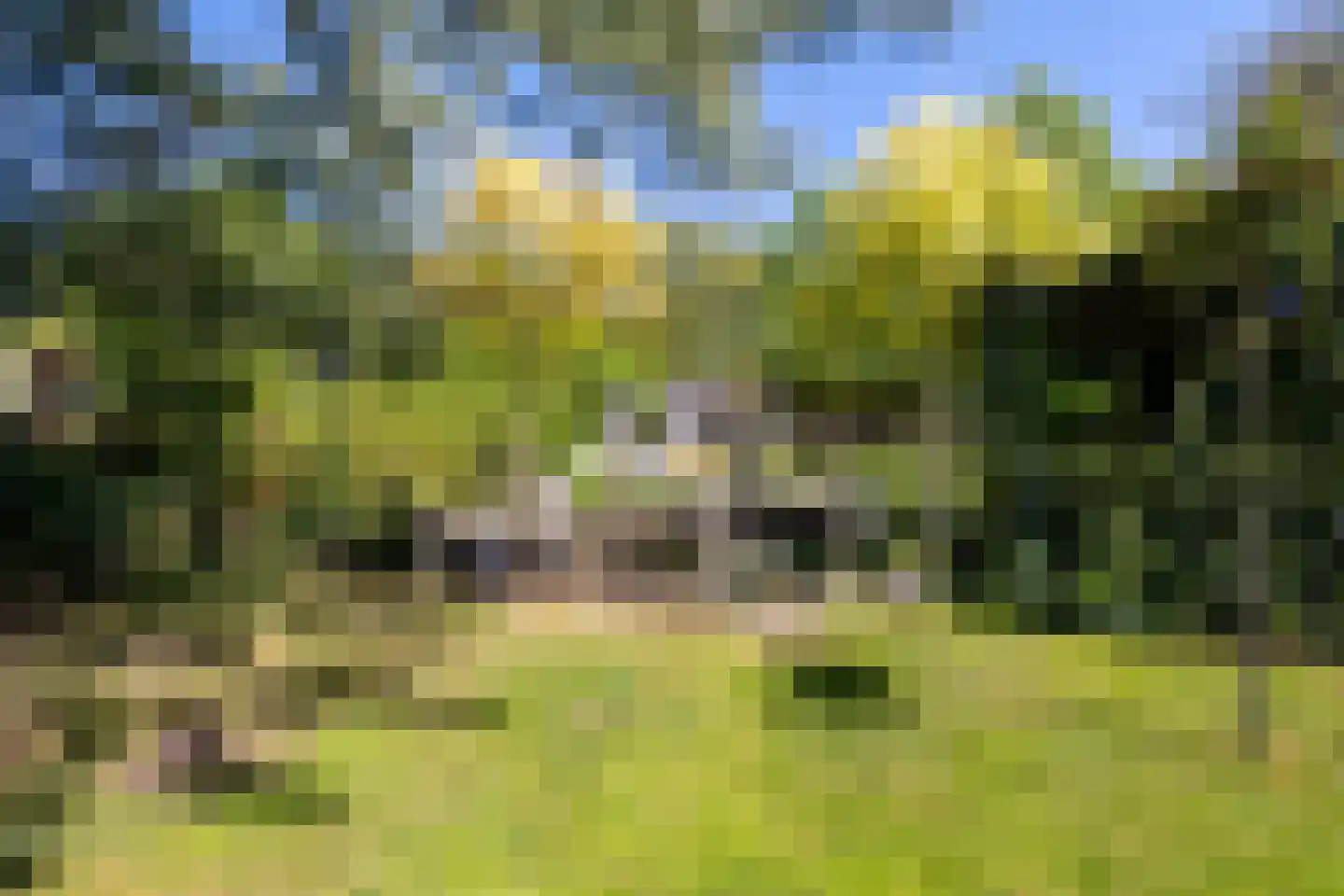 Trambaan 6 Ossendrecht thumbnail 34